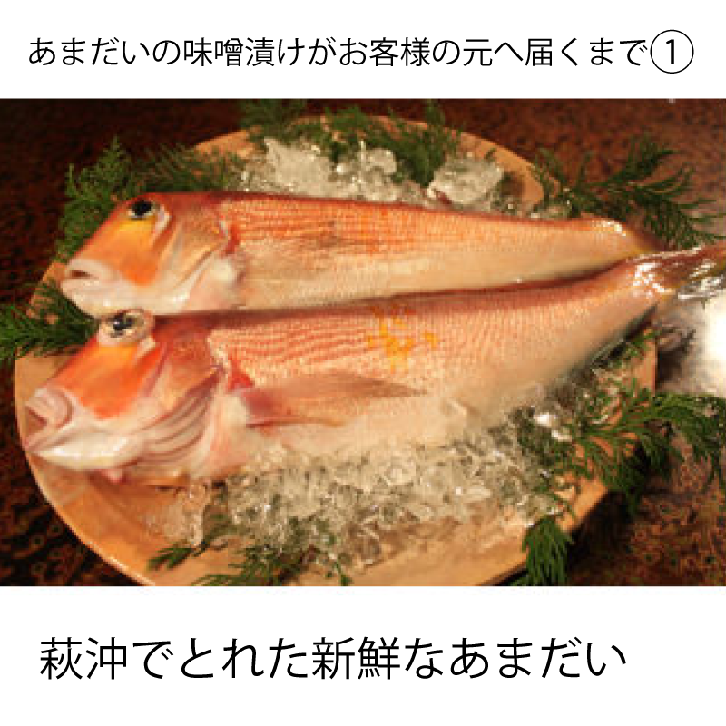 【メーカー・産地直送】萩あまだいの味噌漬け 1本