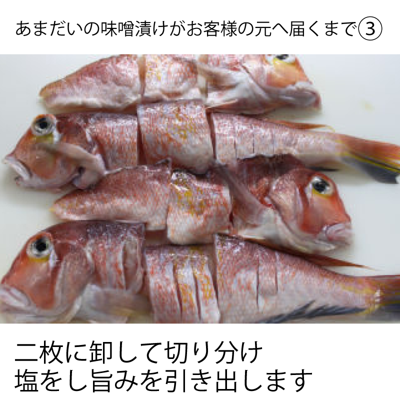 【メーカー・産地直送】萩あまだいの味噌漬け 1本