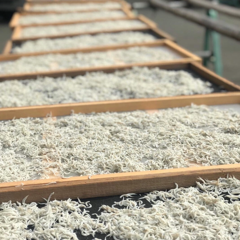 【水揚げ後に釜へ直行】釜揚げしらす200g