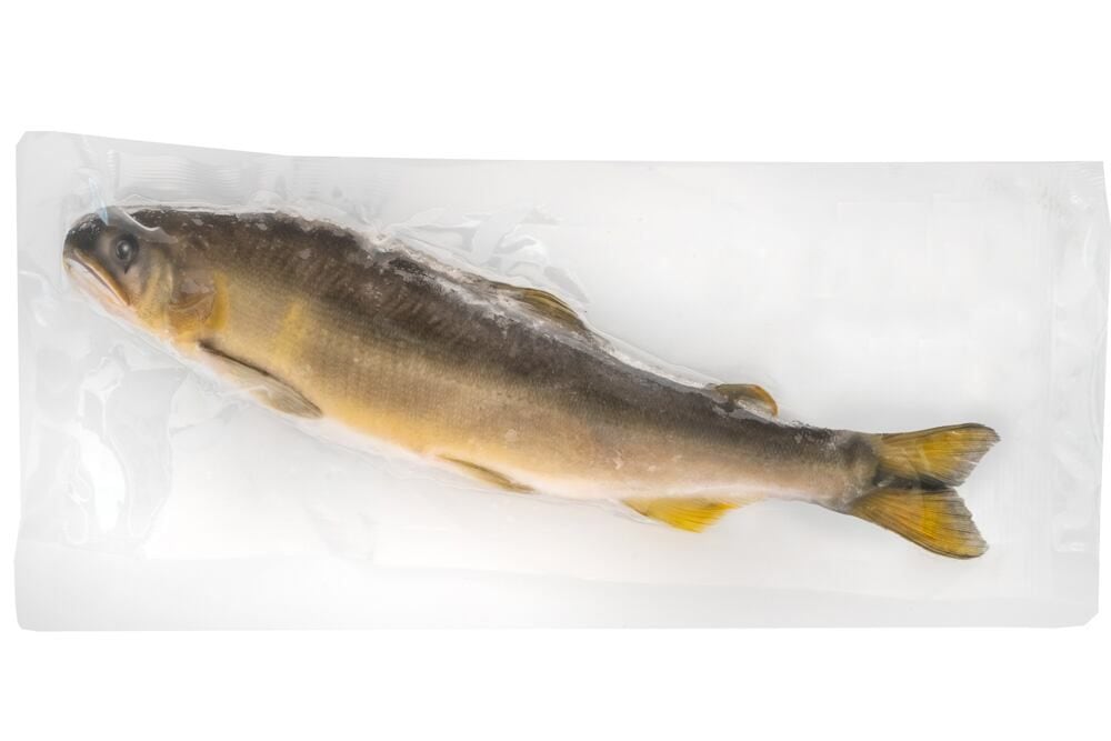 【あゆ吉】紀州仕立て鮎(生)