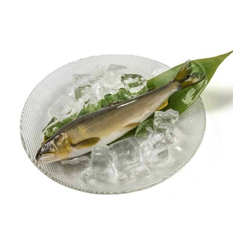 【あゆ吉】紀州仕立て鮎(生)