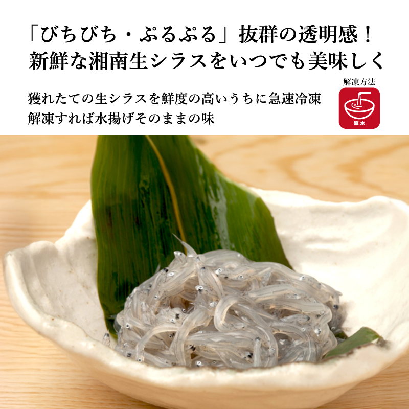 【採れたて急速冷凍】凍眠生シラス(生食用)100g