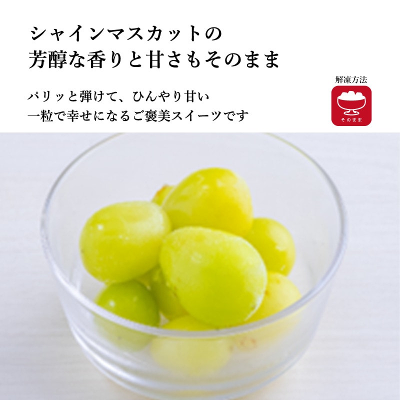 【凍眠フルーツ】山形県産 凍眠フルーツギフト 6袋入り《ギフトボックス付き》