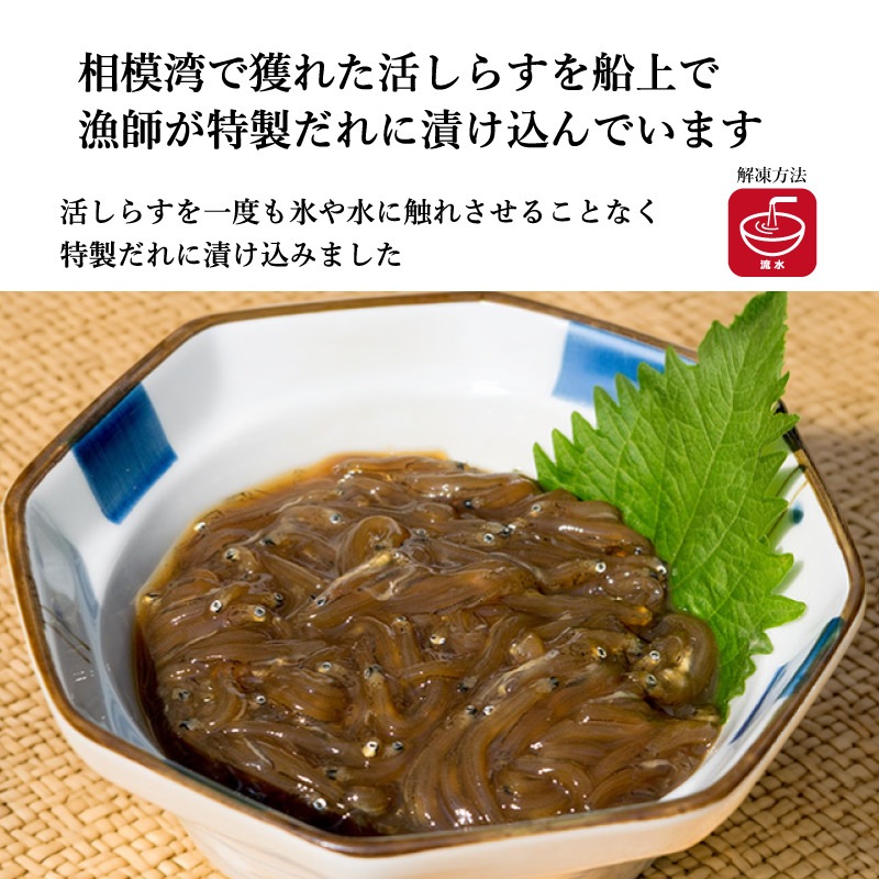【湘南シラス】生・沖漬け・釜揚げ 3種食べ比べセット《ギフトボックス付き》