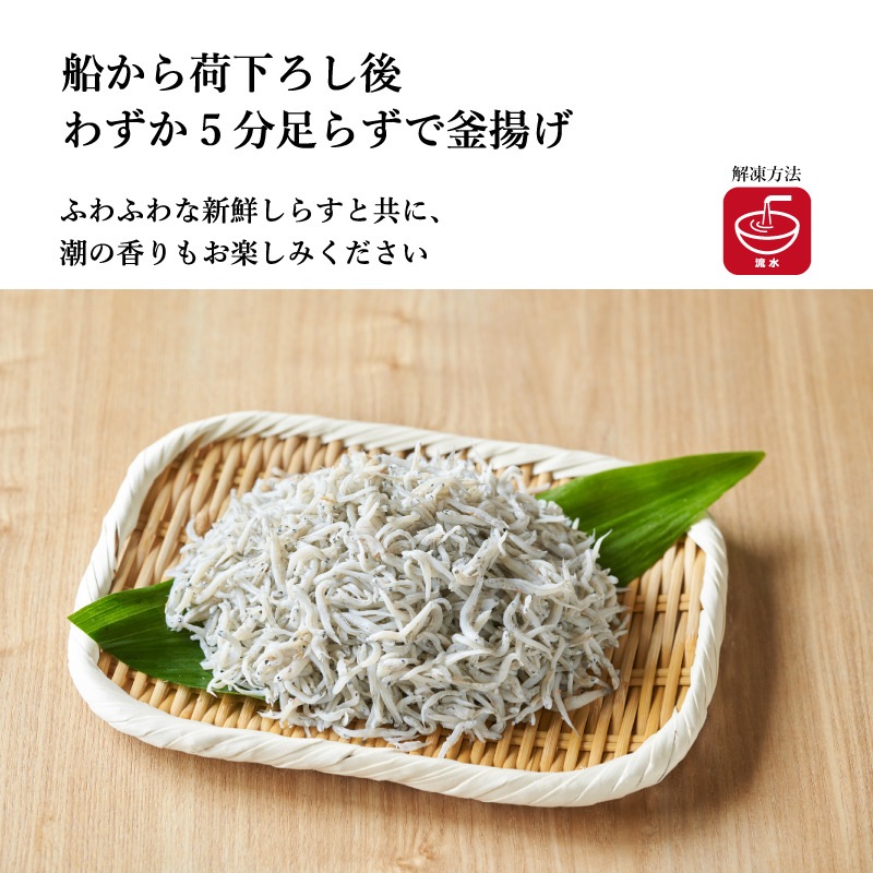 【湘南シラス】生・沖漬け・釜揚げ 3種食べ比べセット《ギフトボックス付き》