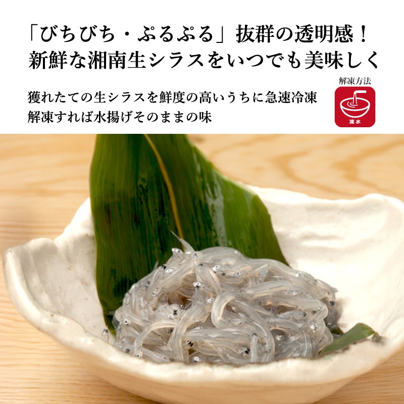 【湘南シラス】生・沖漬け・釜揚げ 3種食べ比べセット《ギフトボックス付き》