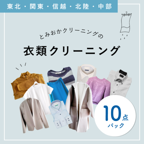 ���९�꡼�˥� 10���ѥå� (���̡����졦���ۡ���Φ������)