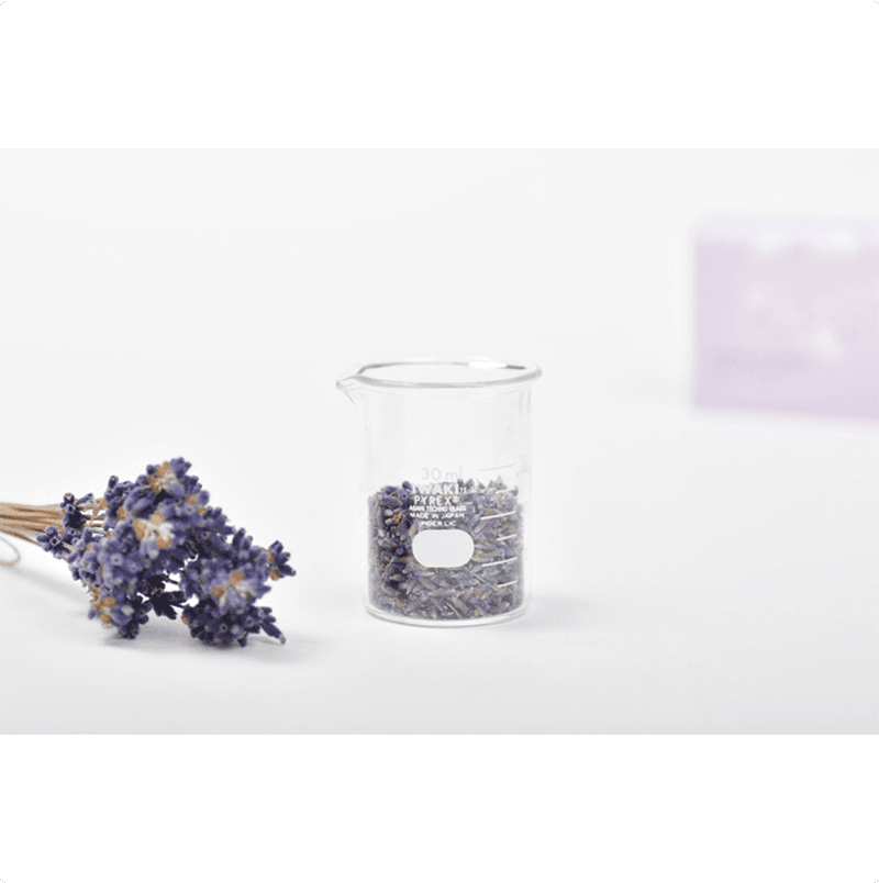 ��٥�����и���SAVON de SIESTA