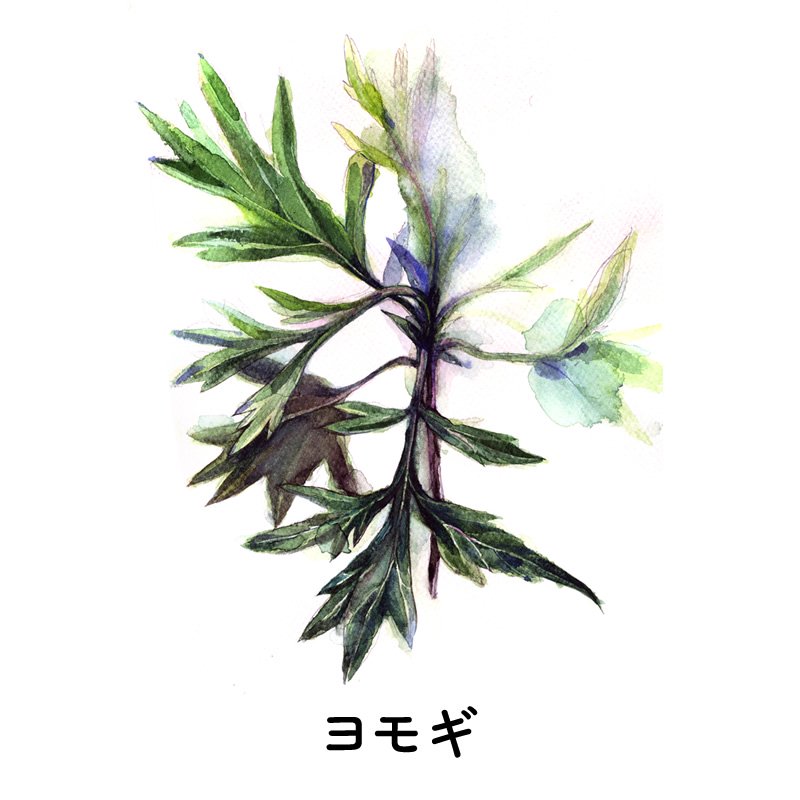 ⥮ߤڡ ȥ֥륱å楢 YUAN 