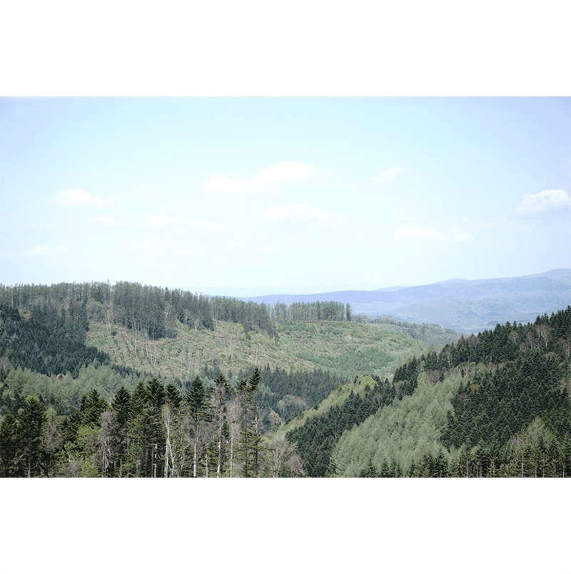 �ϥ�ɥե�å���ʡ������ι��