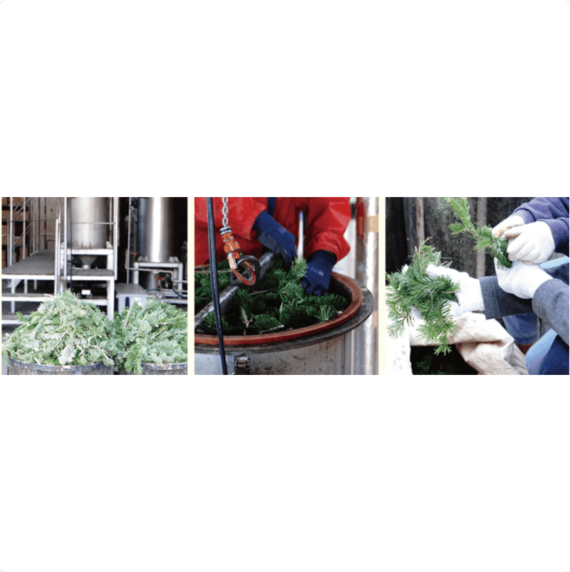 �ϥ�ɥե�å���ʡ������ι��