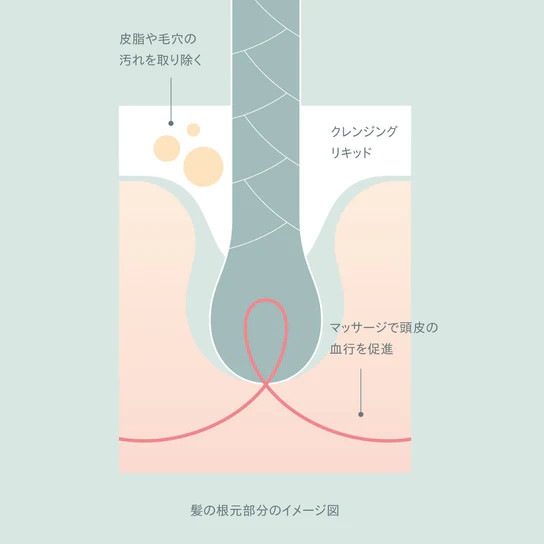 ¼и / JU-NIץ󥸥󥰥ꥭå