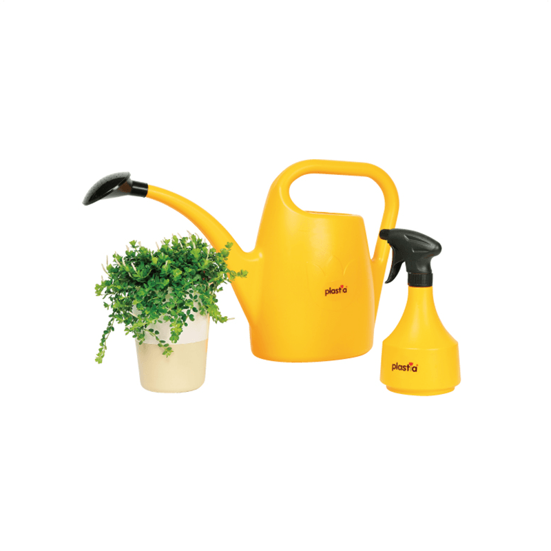 Plastia Eva ���祦��4L ���꡼��