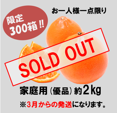 2026�ա�S���åȡ�-���Ȥ���������2��