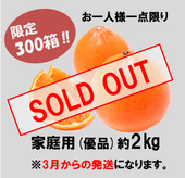 2026�ա�S���åȡ�-���Ȥ���������2��