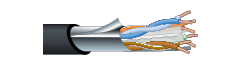 CANARE RJC6A-4P-FA ���ƥ���6A LAN�����֥� [��祷�����]