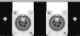 CANARE MFP-4X1DW-NP XLR4�ԥ� ( �᥹ )�� 2