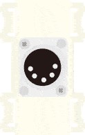 CANARE *P-5X2DS-* XLR 5 �ԥ� (����) �Ϥ����