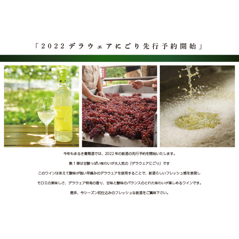まるき デラウェアにごり 白ワイン｜【まるき葡萄酒】375ml