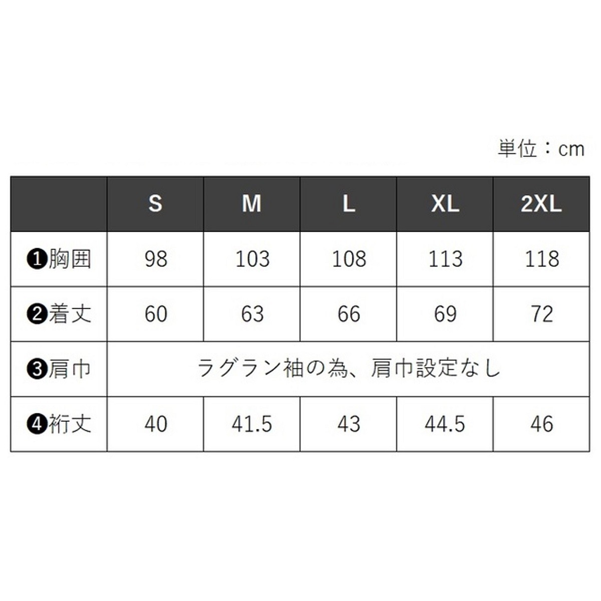 2023年TEAMユニフォーム Deloitte