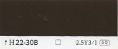 カラーカード　H22-30B|その他の商品