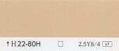 カラーカード　H22-80H|その他の商品
