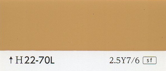 ���顼�����ɡ�H22-70L