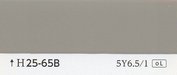 ���顼�����ɡ�H25-65B