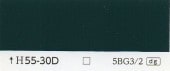 カラーカード　H55-30D|その他の商品