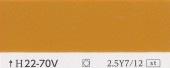 カラーカード　H22-70V|その他の商品