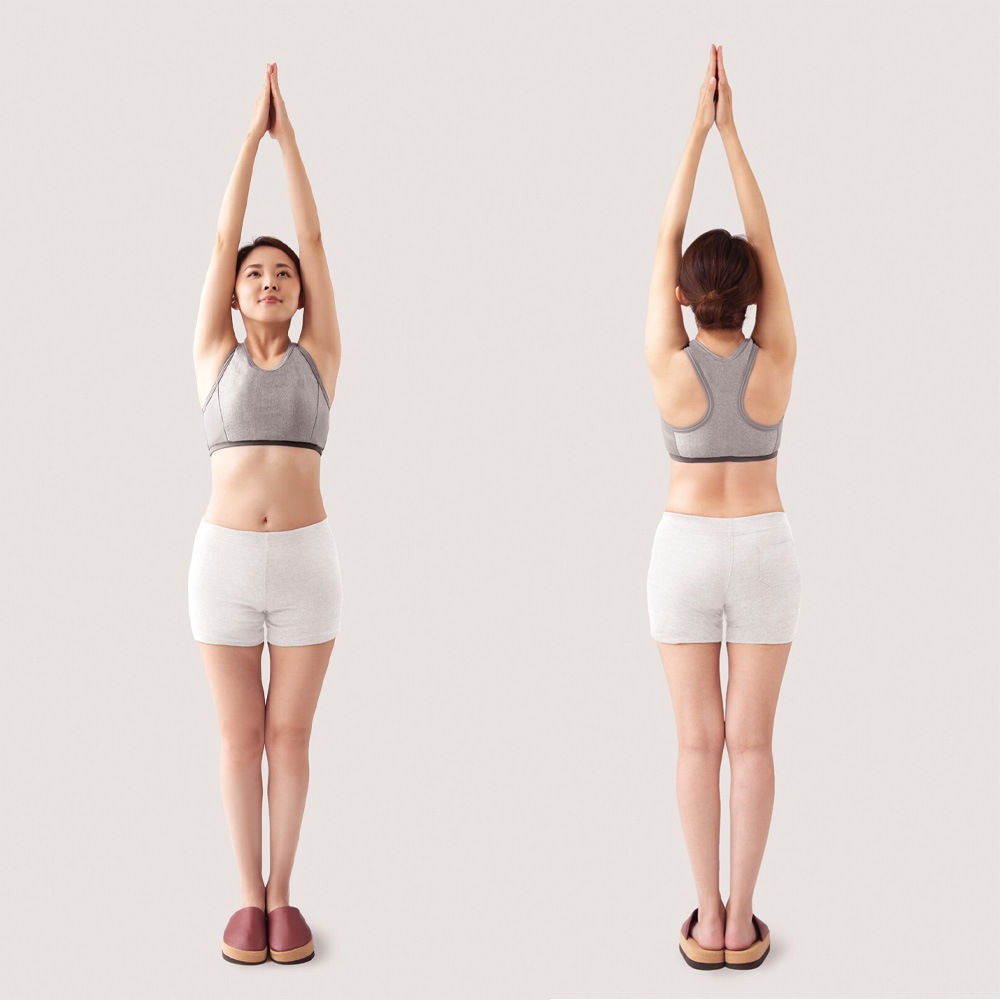 ��¦���Ф���ž�ڤ��ä����륹��å� ���ꥨ�å������ʥ���������