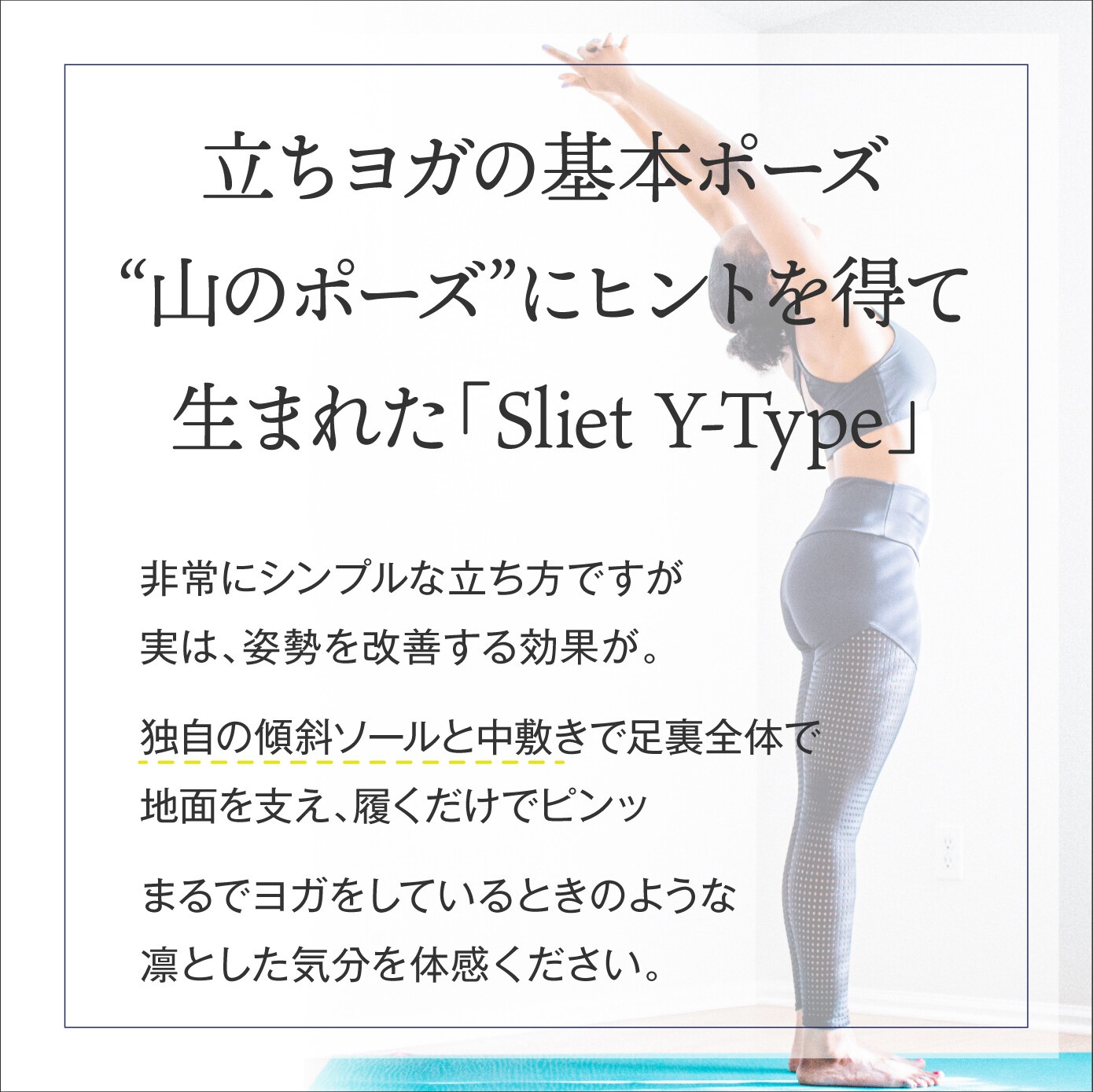 ���������ĥܲ������δ��ȥ쥹��å� ���ꥨ�å� Y-Type ������