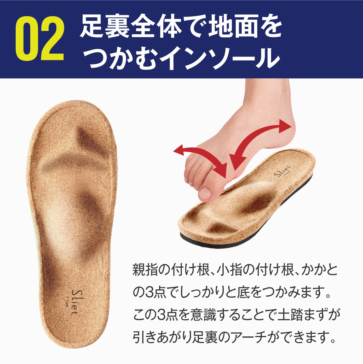 ���������ĥܲ������δ��ȥ쥹��å� ���ꥨ�å� Y-Type ������