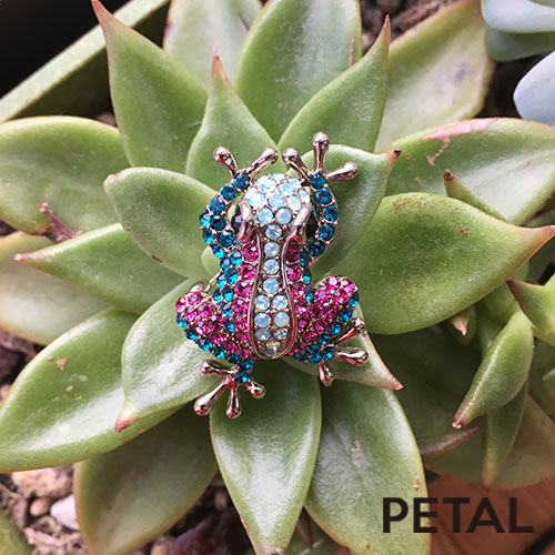 ケロッケロッいつもご機嫌なカエルブローチ【PETAL MARKET】　