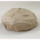 ��Dapper's�ʥ��åѡ���)��Classical Casquette Type B LOT1718 LINEN TWILL ��ͥ� �� ���㥹���å�