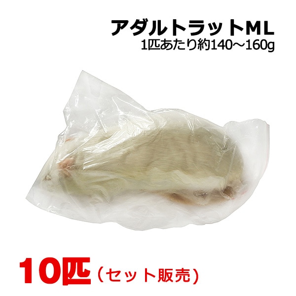 冷凍 アダルトラット MLサイズ 10匹