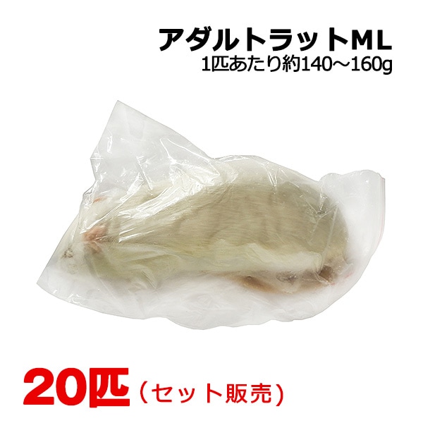 冷凍 アダルトラット MLサイズ 20匹