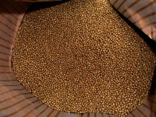 淡水ガメダイエット 業務用 11.34kg Mazuri(マズリ)【お取り寄せ品