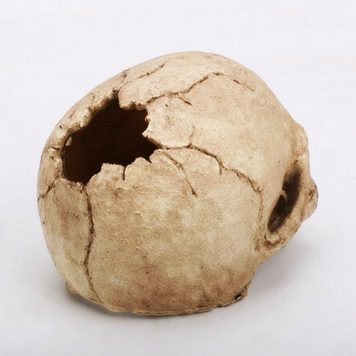 スカル PT2855 GEX（ジェックス） 爬虫類 両生類 かくれが シェルター