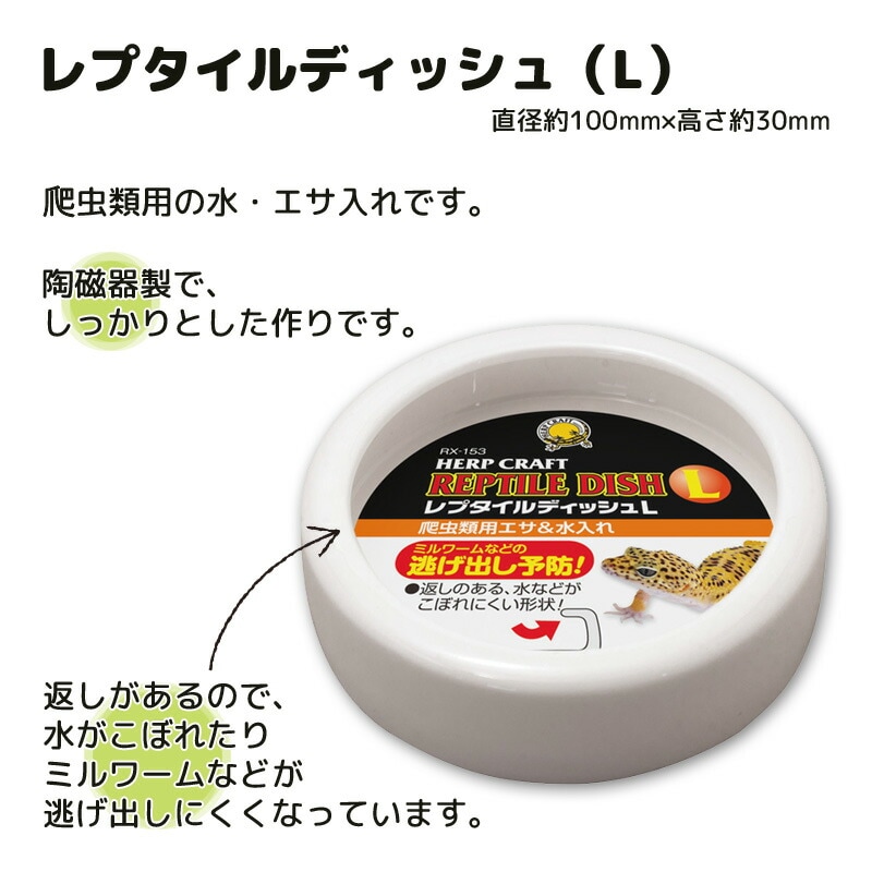 レプタイルディッシュ（L） スドー 爬虫類 両生類 エサ皿 水飲み場 水
