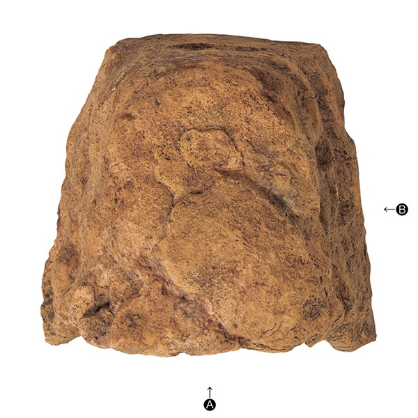 爬虫類　角型シェルター　2 Amazon | 爬虫類 シェルター 隠れ家 洞窟 爬虫類 飼育ケース