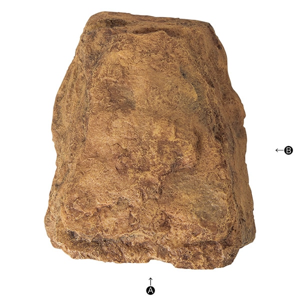 ロックシェルターSP XL RX-196 スドー 爬虫類 両生類 シェルター
