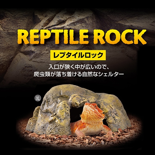No.901】超大型シェルター流木 爬虫類レイアウト✫ 【公式通販】