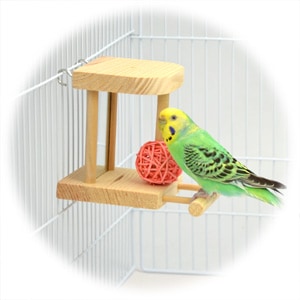 6 ⭐ ミラーボードとフォージングトイセット⭐ インコ