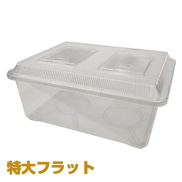 プラケース 特大フラット クリア 鈴木製作所 | TOPCREATE