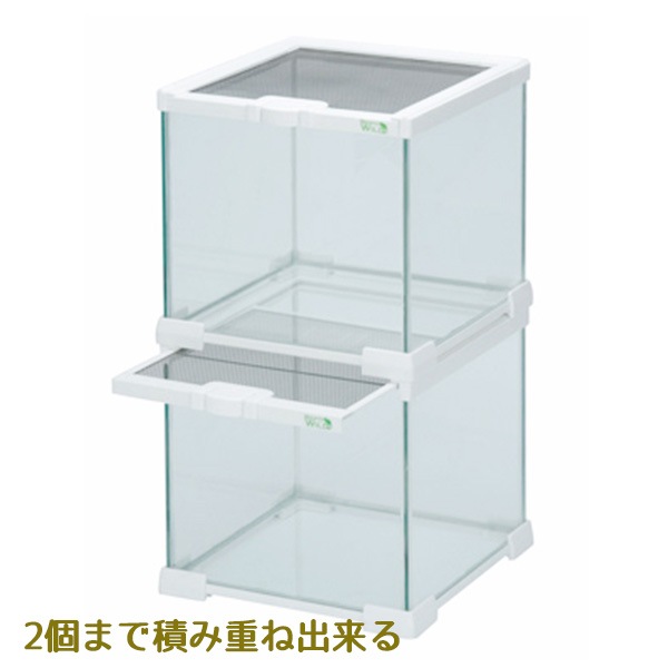 グラスゾーン 20WH E23 SANKO(三晃/サンコー) 爬虫類 両生類 昆虫