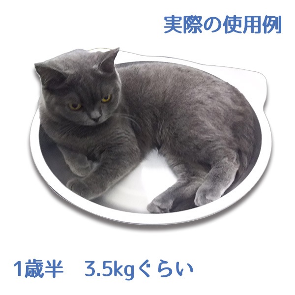 ひんやりクール猫鍋 Ct 417 Marukan マルカン ペット用品 犬猫用品 犬猫用品 トップクリエイト本店 ひんやりクール猫鍋 Ct 417 Marukan マルカン