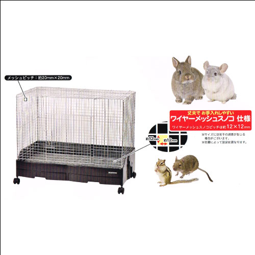 チンチラ飼育セット