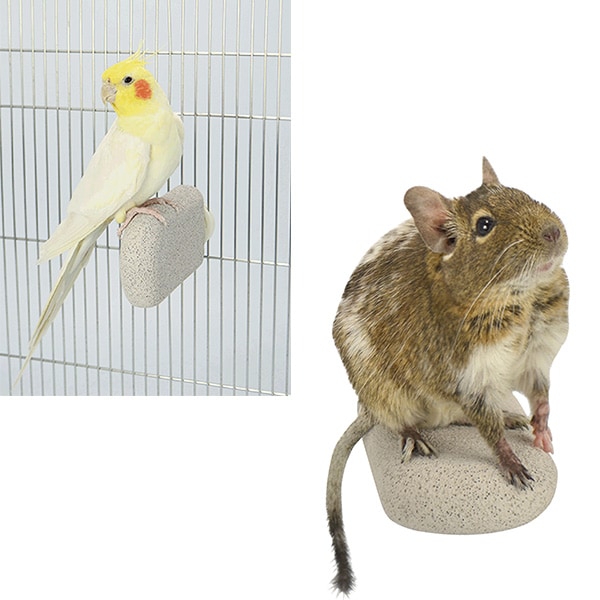 爪とぎステップ J31 SANKO(三晃/サンコー) 小動物 鳥 爪とぎ