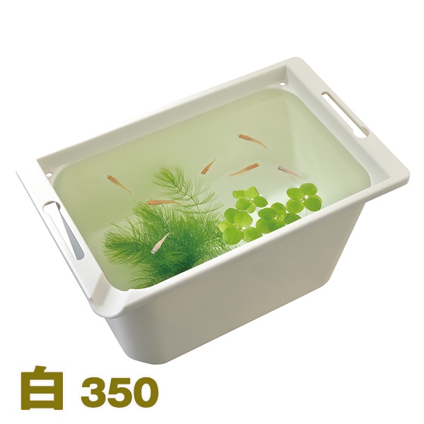 【taka@】ページ　　リクエスト商品のため acpanel_06.jpg